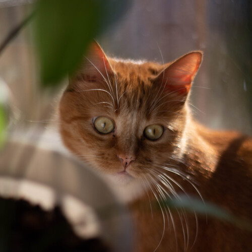 Photo #14045462