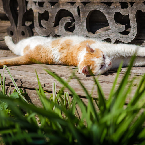 Photo #14045542