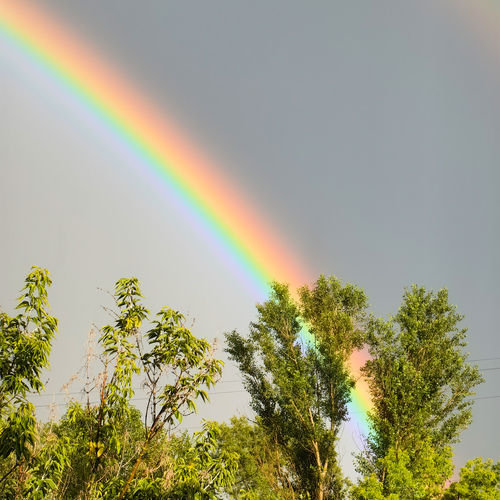 Photo #14045585