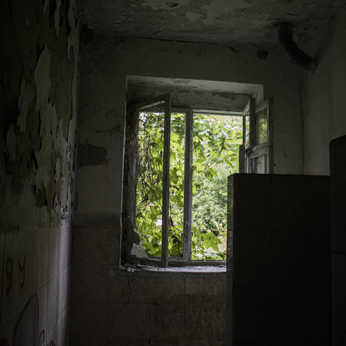 Photo #14045633