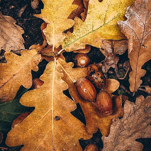 Photo #14045643