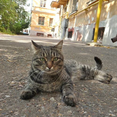 Photo #14045652