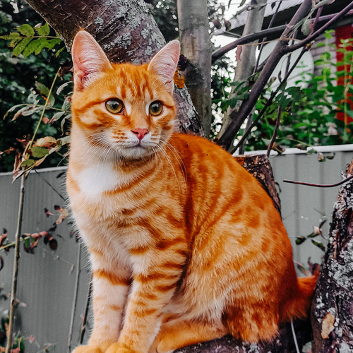 Photo #14045666
