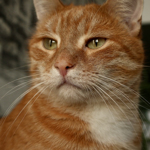Photo #14045681