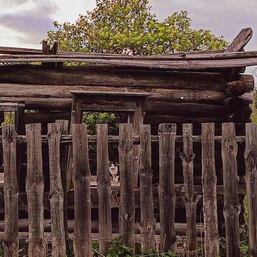 Photo #14045696