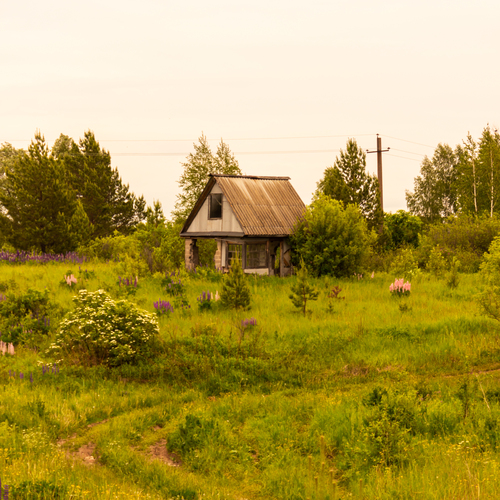 Photo #14045704