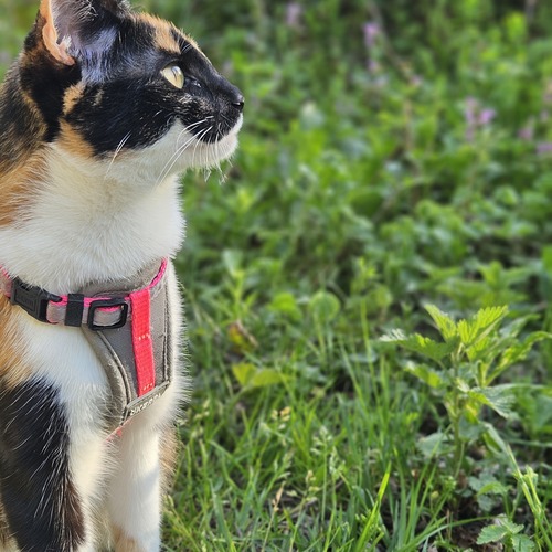 Photo #14045743