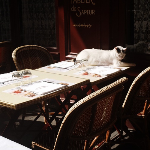 Photo #14045912