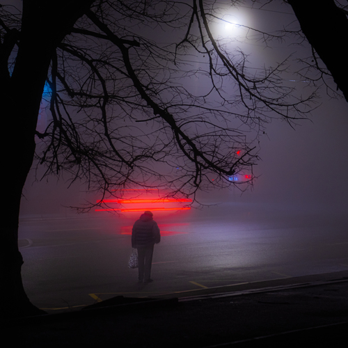 Photo #14045987
