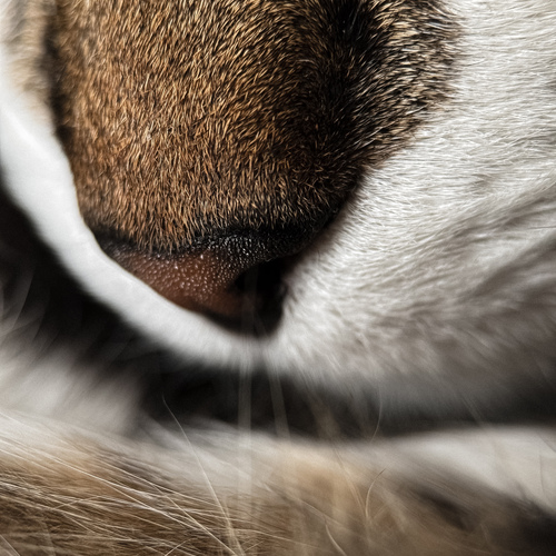 Photo #14046006