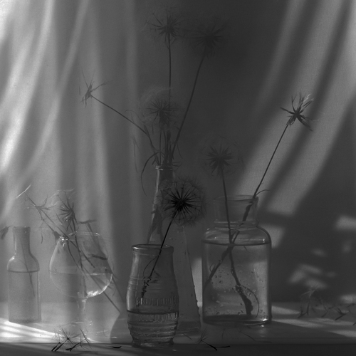 Photo #14046038