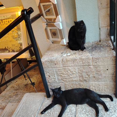 Photo #14046051
