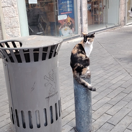 Photo #14046052