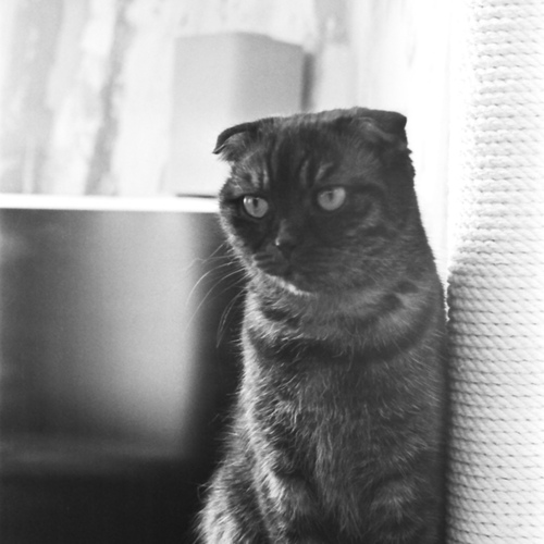 Photo #14046109
