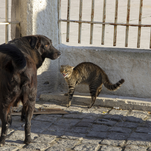 Photo #14046114