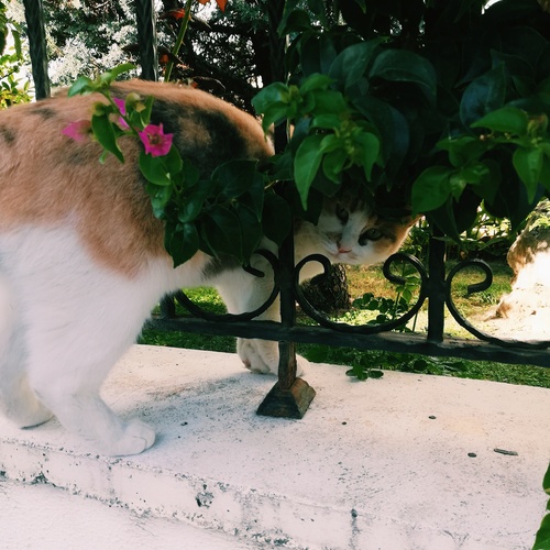 Photo #14046149