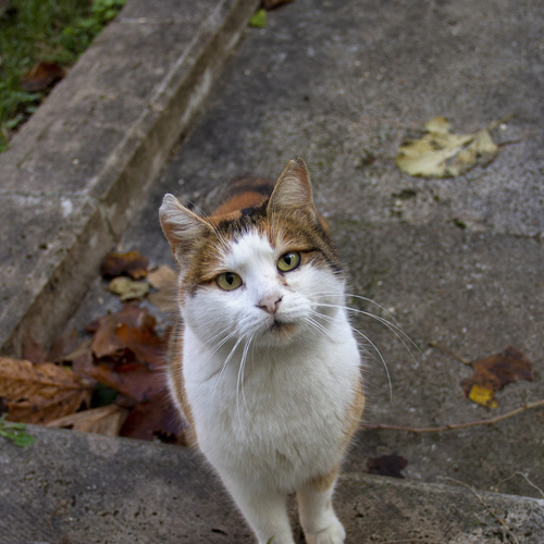 Photo #14046159
