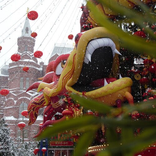 Photo #14046218