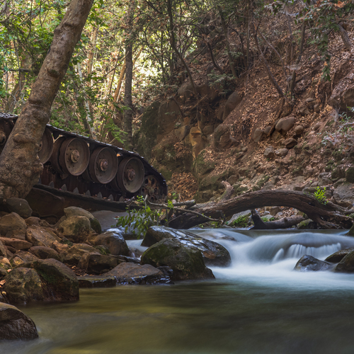 Photo #14046262