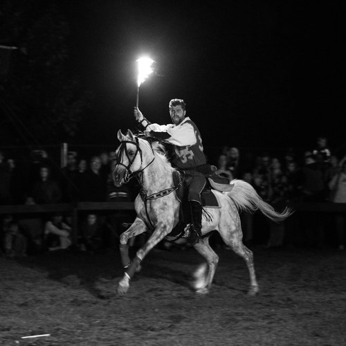 Photo #14046351