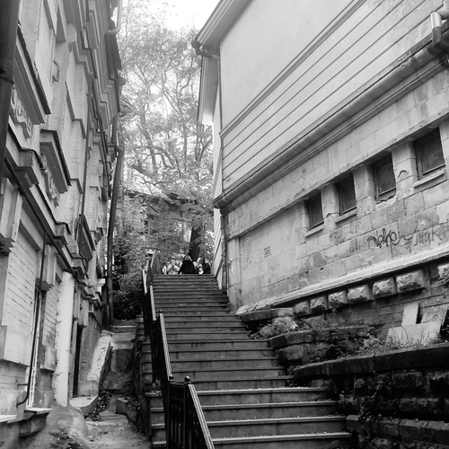 Photo #14046356