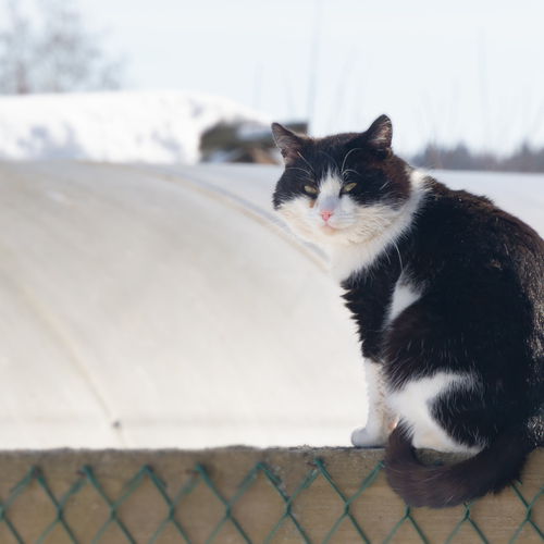 Photo #14046404