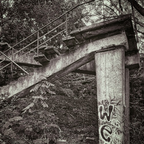 Photo #14046432