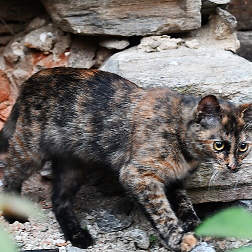 Photo #14046433