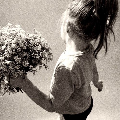 Photo #14046434