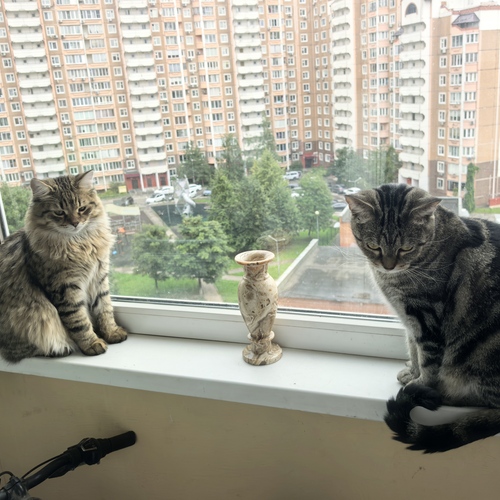 Photo #14046438