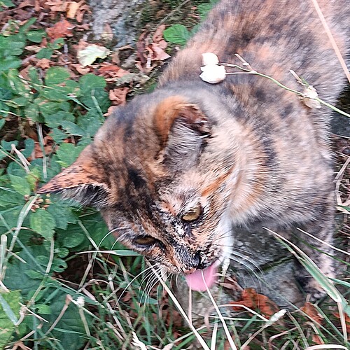 Photo #14046445