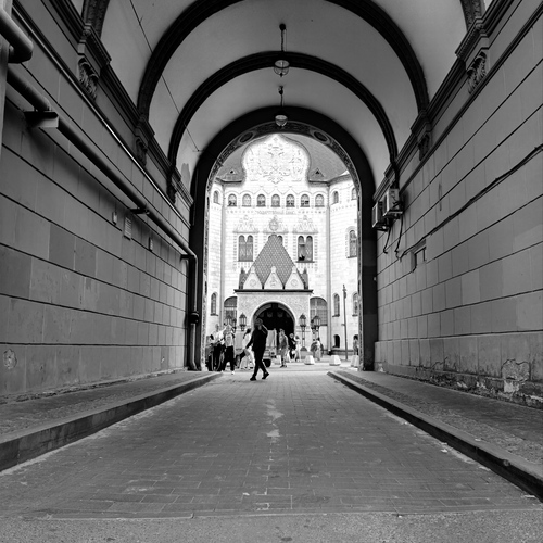Photo #14046662