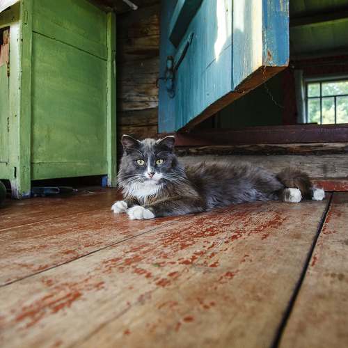 Photo #14046729