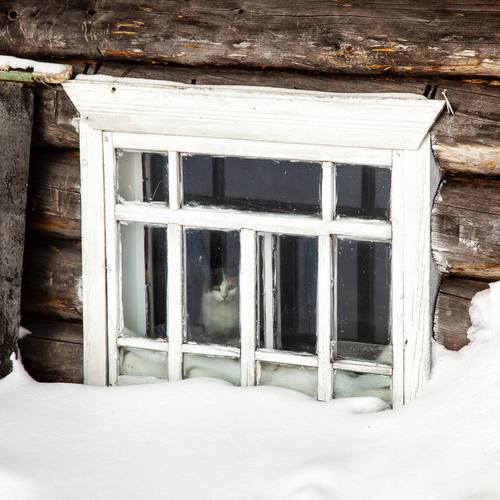 Photo #14046758