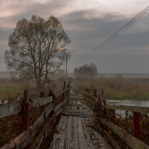 Photo #14046771