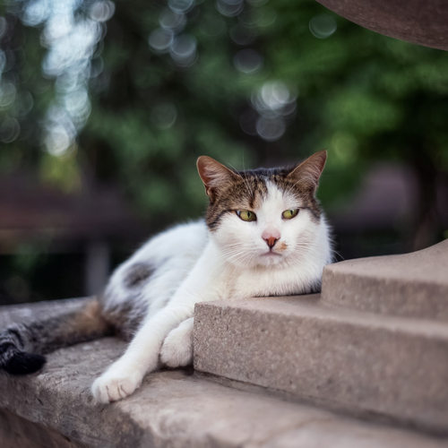 Photo #14046827