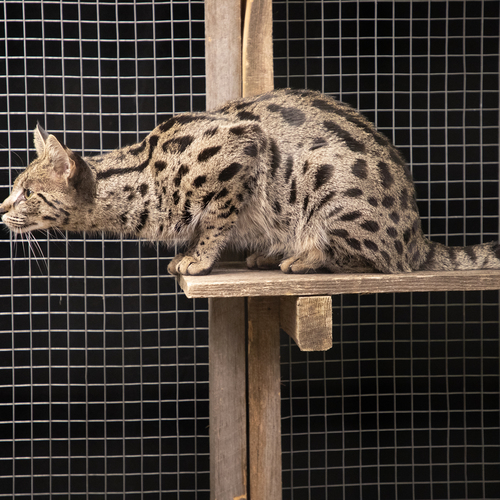 Photo #14046842