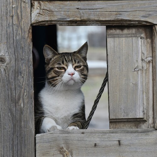 Photo #14046987