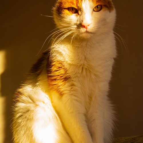 Photo #14046988
