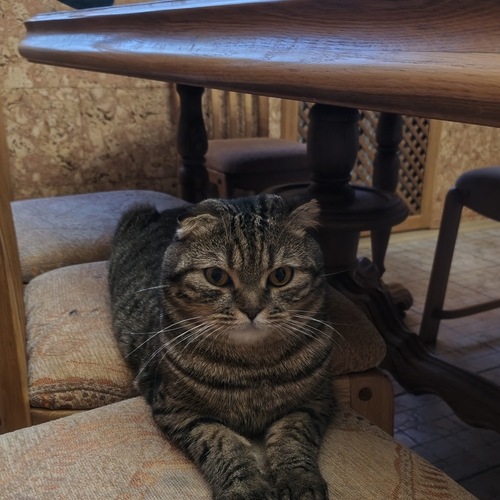 Photo #14047041