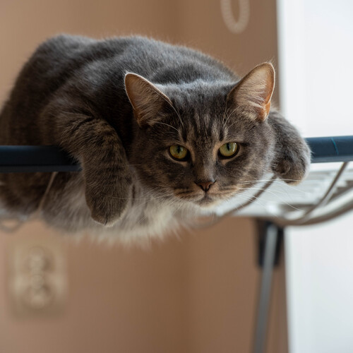 Photo #14047075