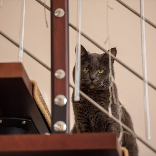 Photo #14047078