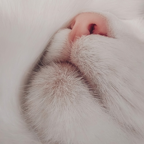 Photo #14047180