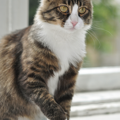 Photo #14047244
