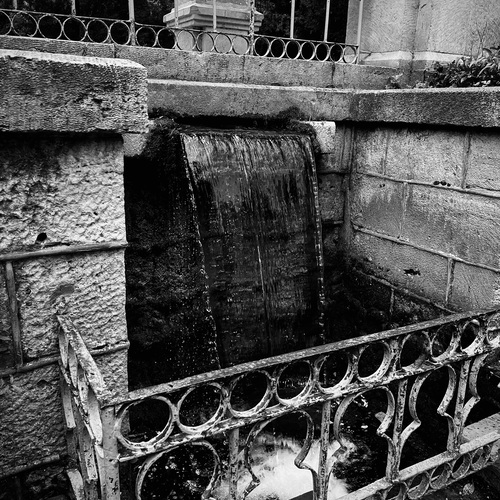 Photo #14047270