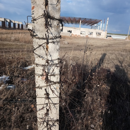 Photo #14047294