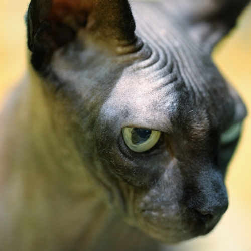 Photo #14047373
