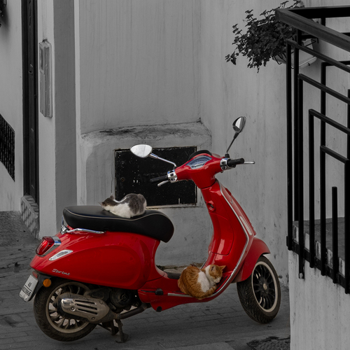 Photo #14047384