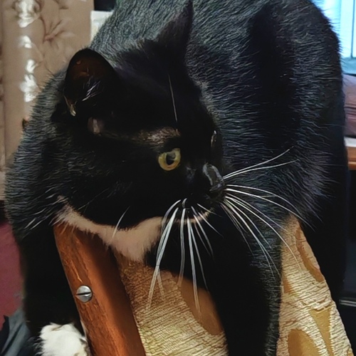 Photo #14047393