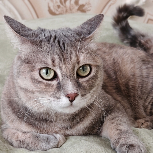 Photo #14047394